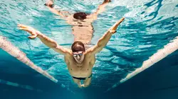 Natation Championnats du monde