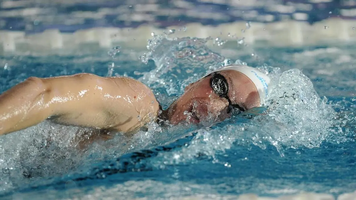 Natation Championnats du monde 2024