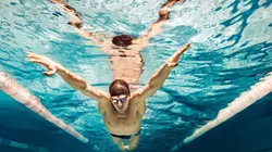 Natation Coupe du monde