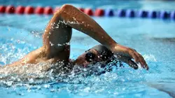 Natation Coupe du monde