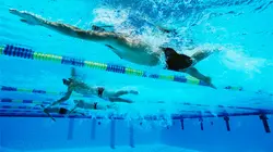 Natation Coupe du monde