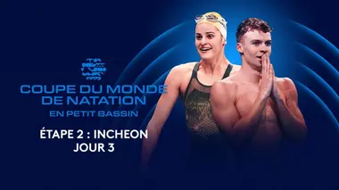 Natation Coupe du monde FINA