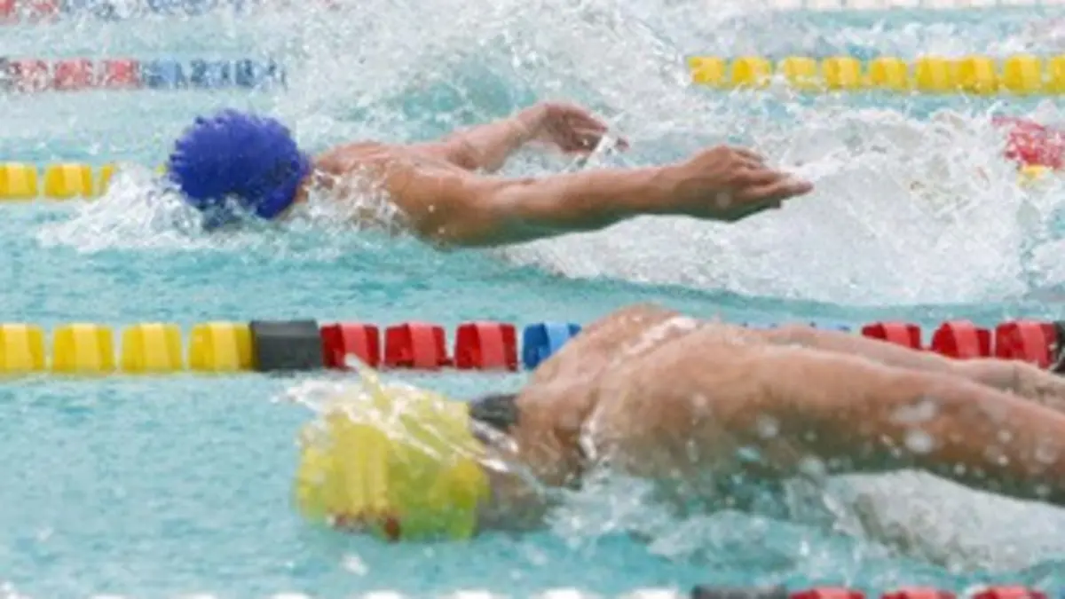 Natation : International Swimming League