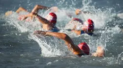 Natation Nage en eau libre. 10 km messieurs