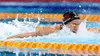 Natation Natation. 2e journée