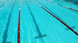 Natation Natation. 7e journée