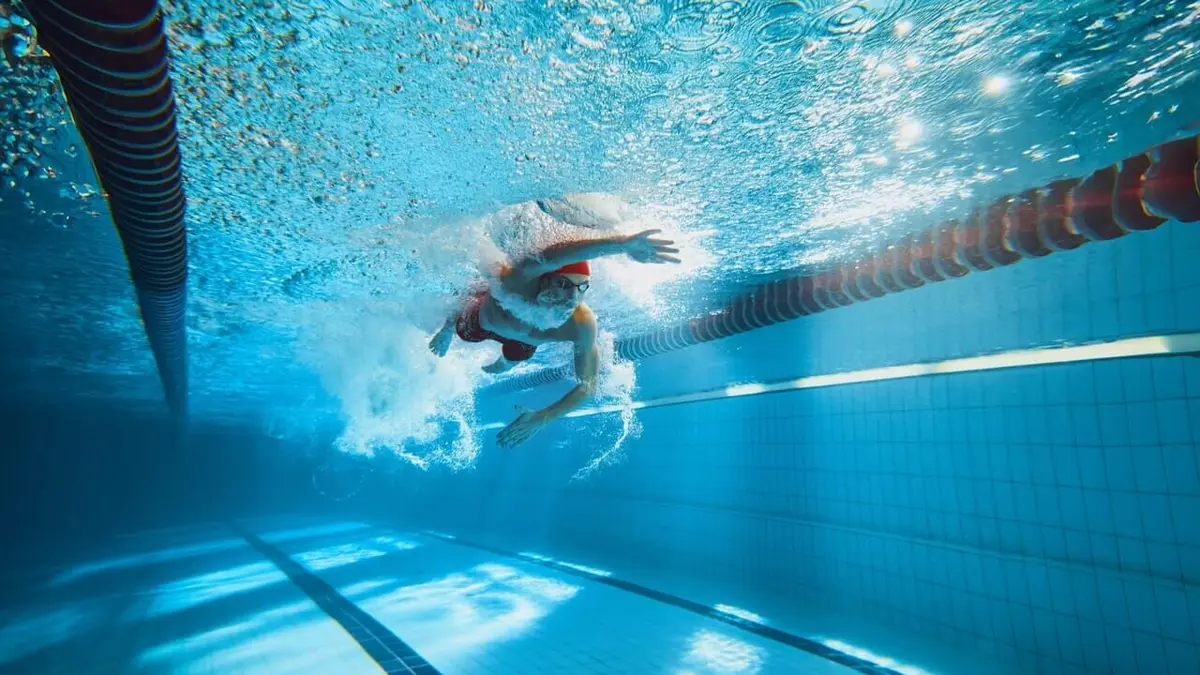 Natation Natation. 7e journée