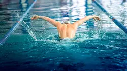 Natation Natation. 8e journée