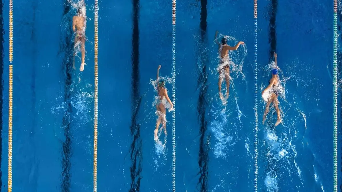 Natation Natation. 8e journée