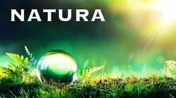 Natura