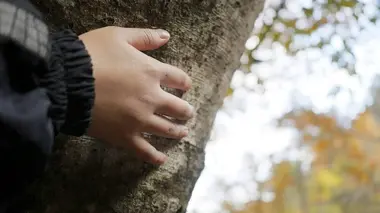 Natura