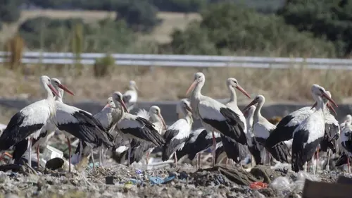 Natura Europa L'île d'Emeraude et le désert de pierres