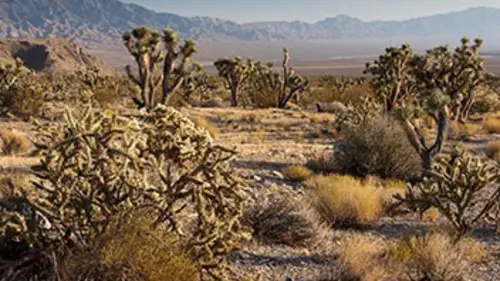 Nature fragile S01E10 Les déserts