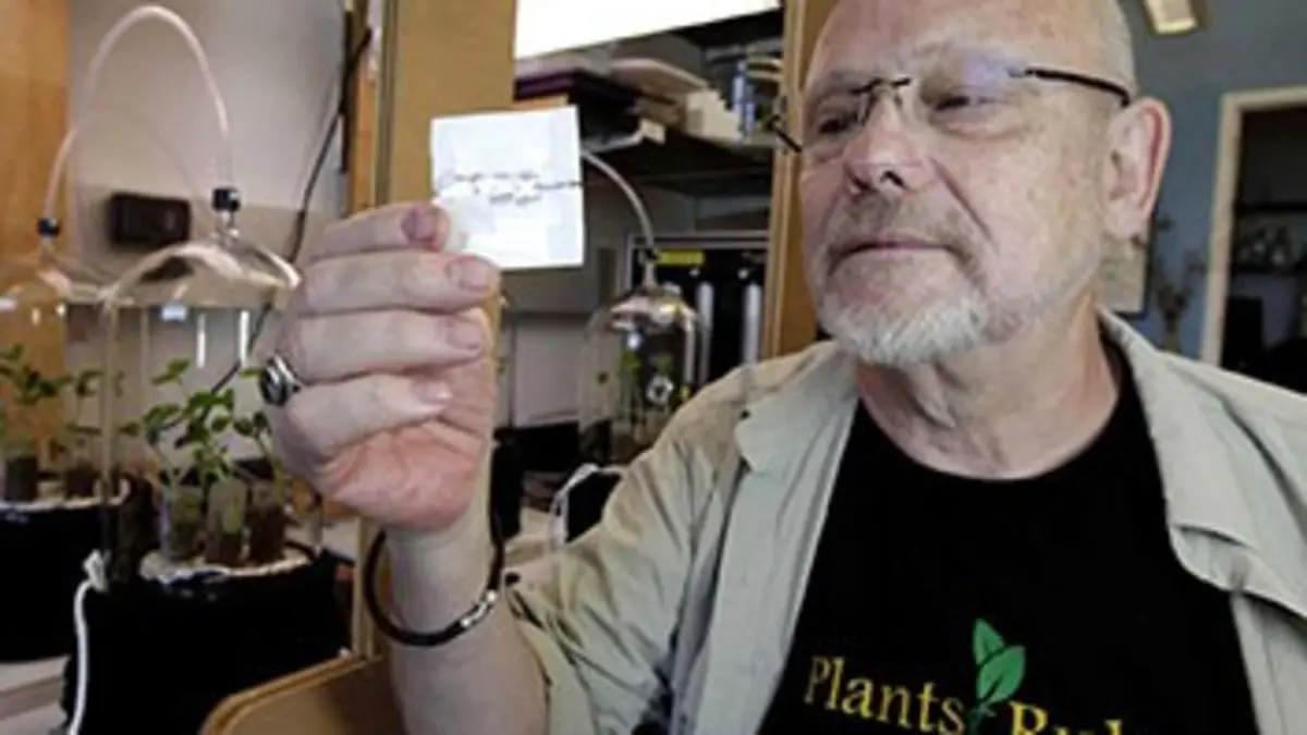 Nature invisible E02 Plantes communicantes