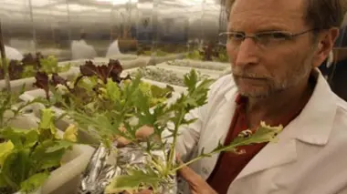 Plantes superpuissantes