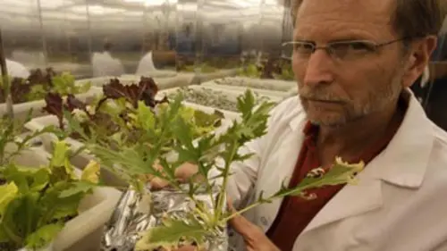 Nature invisible E03 Plantes superpuissantes