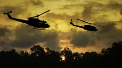 Nature : l'empreinte de la guerre