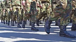 Nature : l'empreinte de la guerre