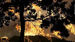 Nature, le nouvel eldorado de la finance