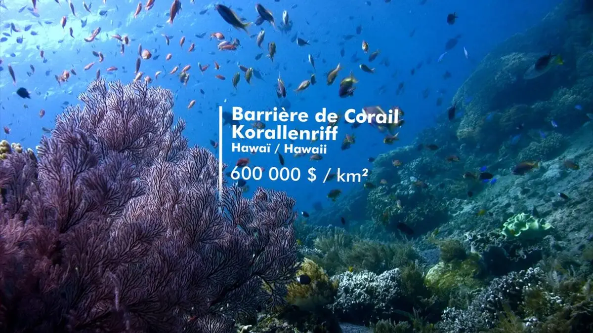 Nature, le nouvel eldorado de la finance