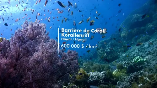 Nature, le nouvel eldorado de la finance