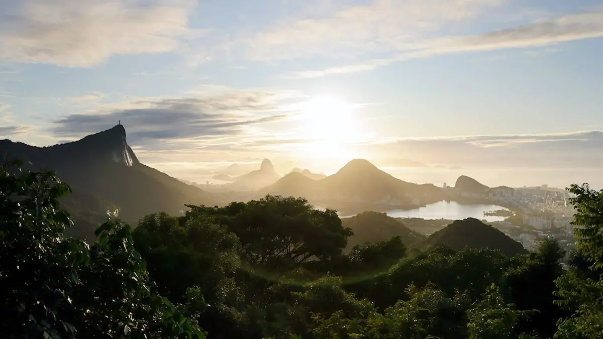 Nature, le retour du sauvage Brésil, la renaissance de la forêt atlantique