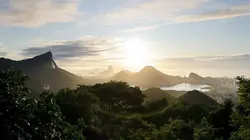 Visuel de Nature, le retour du sauvage