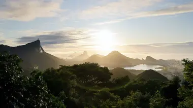 Brésil, la renaissance de la forêt atlantique