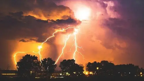 Nature meurtrière replay