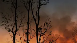 Nature meurtrière S01E12 Irma la dure, quand l'ouragan souffle