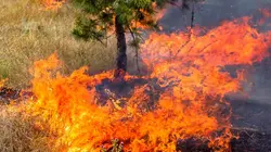 Nature meurtrière S01E12 Irma la dure, quand l'ouragan souffle