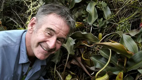 Nature sauvage des Philippines Les trésors de Palawan