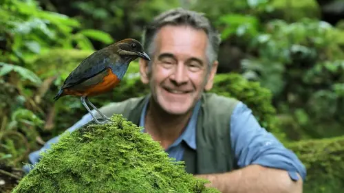 Épisodes de Nature sauvage des Philippines