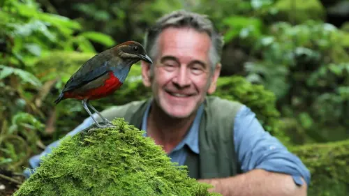 Nature sauvage des Philippines Les provinces du Nord