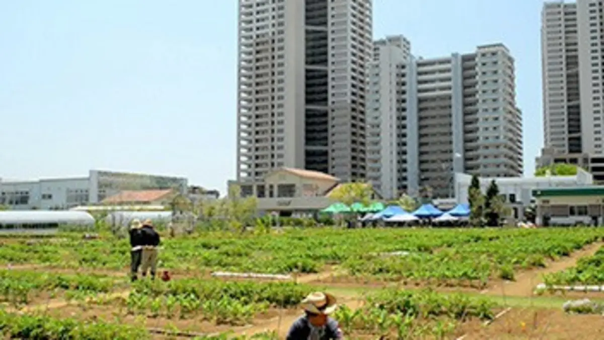 Naturopolis E04 Tokyo, de la mégapole à la ville-jardin