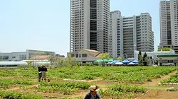 Visuel de Naturopolis