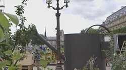 Visuel de Naturopolis