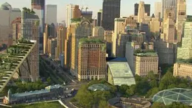 New York, la révolution verte