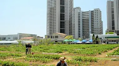 Naturopolis E04 Tokyo, de la mégapole à la ville-jardin