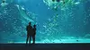 Nausicaá, dans les coulisses du plus grand aquarium d'Europe