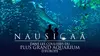 Nausicaá, dans les coulisses du plus grand aquarium d'Europe