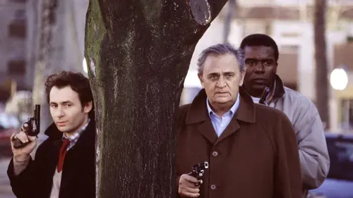 Navarro S11E02 Secrets
