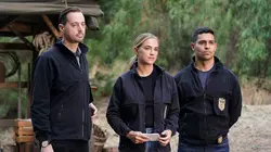 NCIS S18E03 Chasse au trésor en streaming
