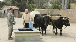 NCIS S14E24 Un pour tous...