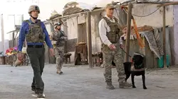 NCIS S10E18 Chien de guerre