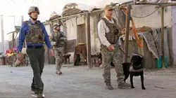NCIS S10E18 Chien de guerre