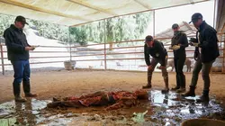 NCIS S17E07 Les maîtres-chanteurs