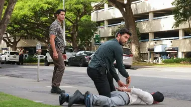 NCIS : Hawaï S02E15 Le bon samaritain