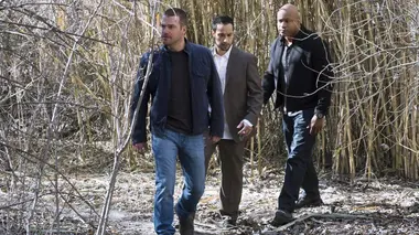 NCIS : Los Angeles S06E15 L'arbre qui cache la forêt...