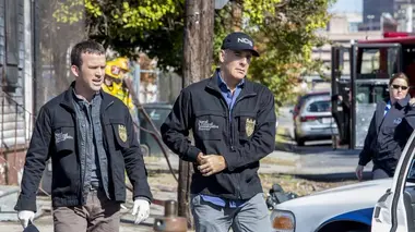 Le rôle de l'appât